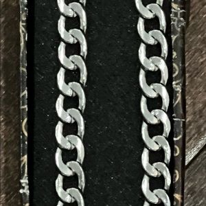 Stainless steel chain